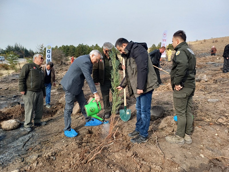 Kaymakamımız Vehbi BAKIR, Milli Ağaçlandırma Günü kapsamında İlçemizde düzenlenen programa katıldı